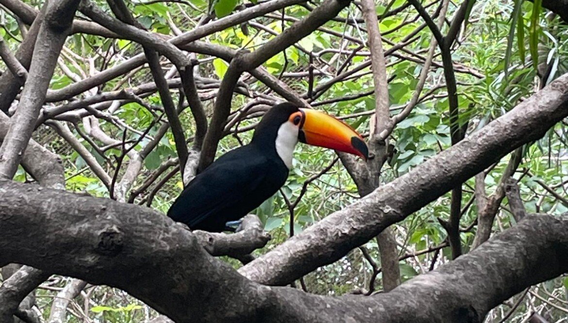 Complete Santa Cruz de la Sierra Travel Guide 2025