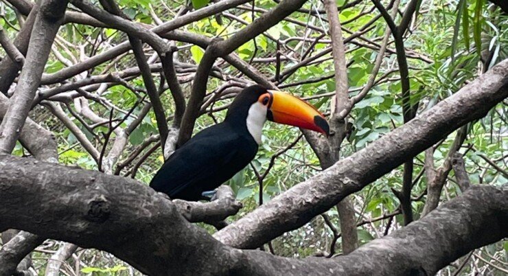 Complete Santa Cruz de la Sierra Travel Guide 2025